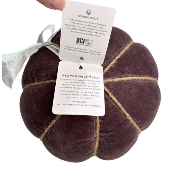 Pottery Barn Velvet Pumpkin Pillow Fig New With Tags 2023 READ - Picture 6 of 10